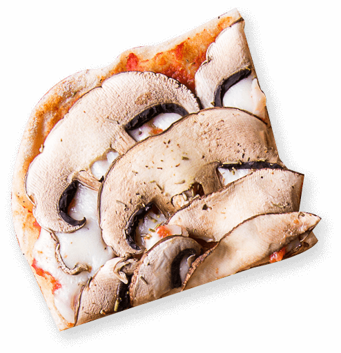slice4